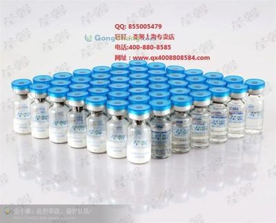 河源市委老干部局 傳承紅色基因，服務銀發(fā)群體的重要力量
